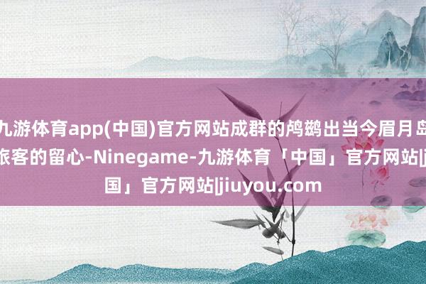 九游体育app(中国)官方网站成群的鸬鹚出当今眉月岛诱导了不少旅客的留心-Ninegame-九游体育「中国」官方网站|jiuyou.com